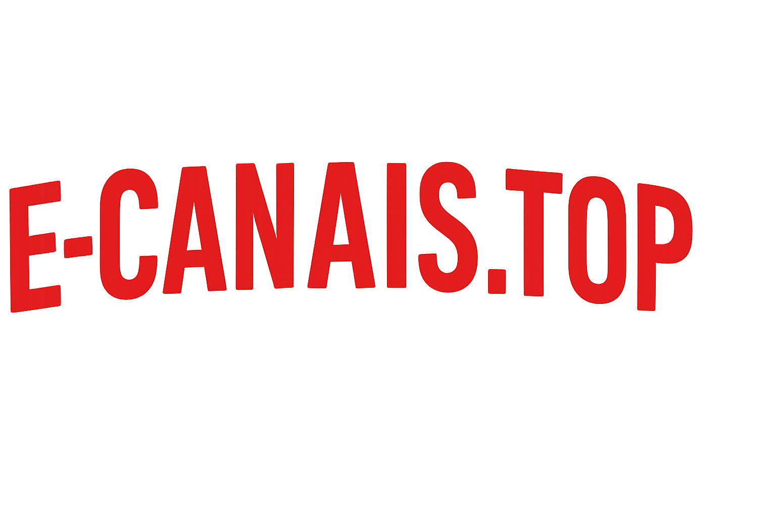 logotipo da E-CANAIS.TOP